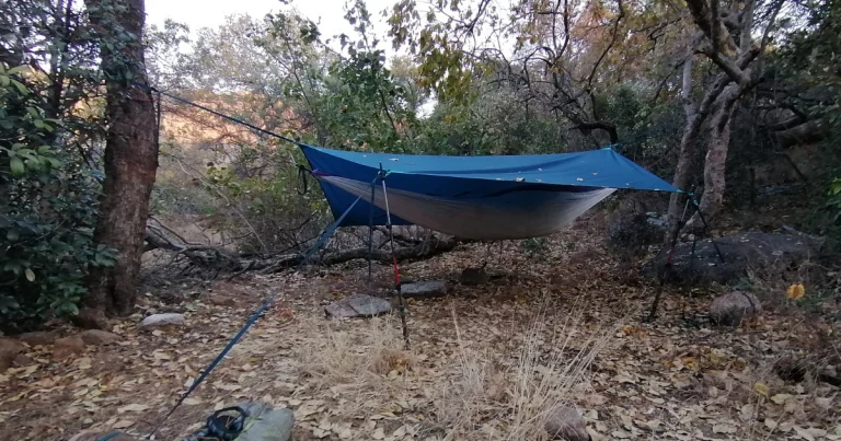 Hammock in the Wild