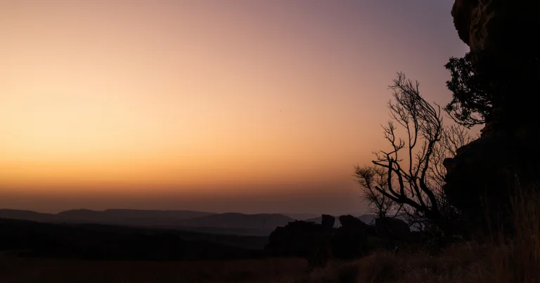 Beautiful magalies