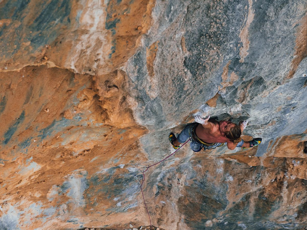 The Beginnings - FAF Chapter 1