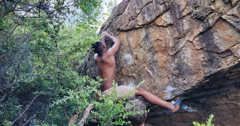 A climber on a boulder in the bush