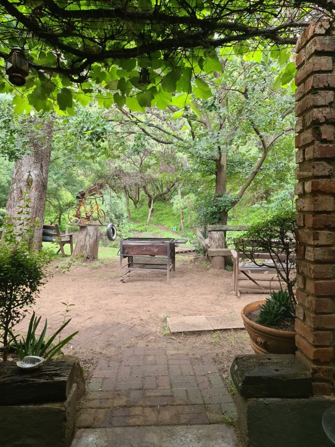 The garden and braai area beside the Stream Hut
